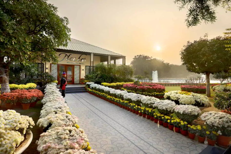 Gallery image 4
